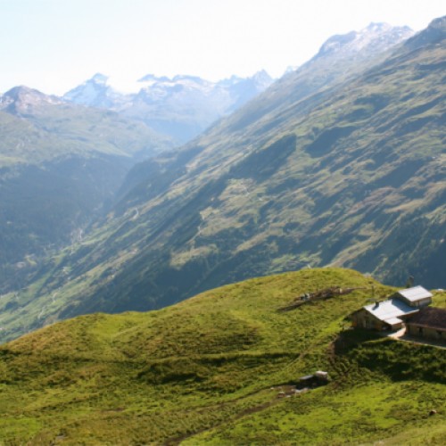 Alp Rischuna - das Sommerparadies für unsere Kühe